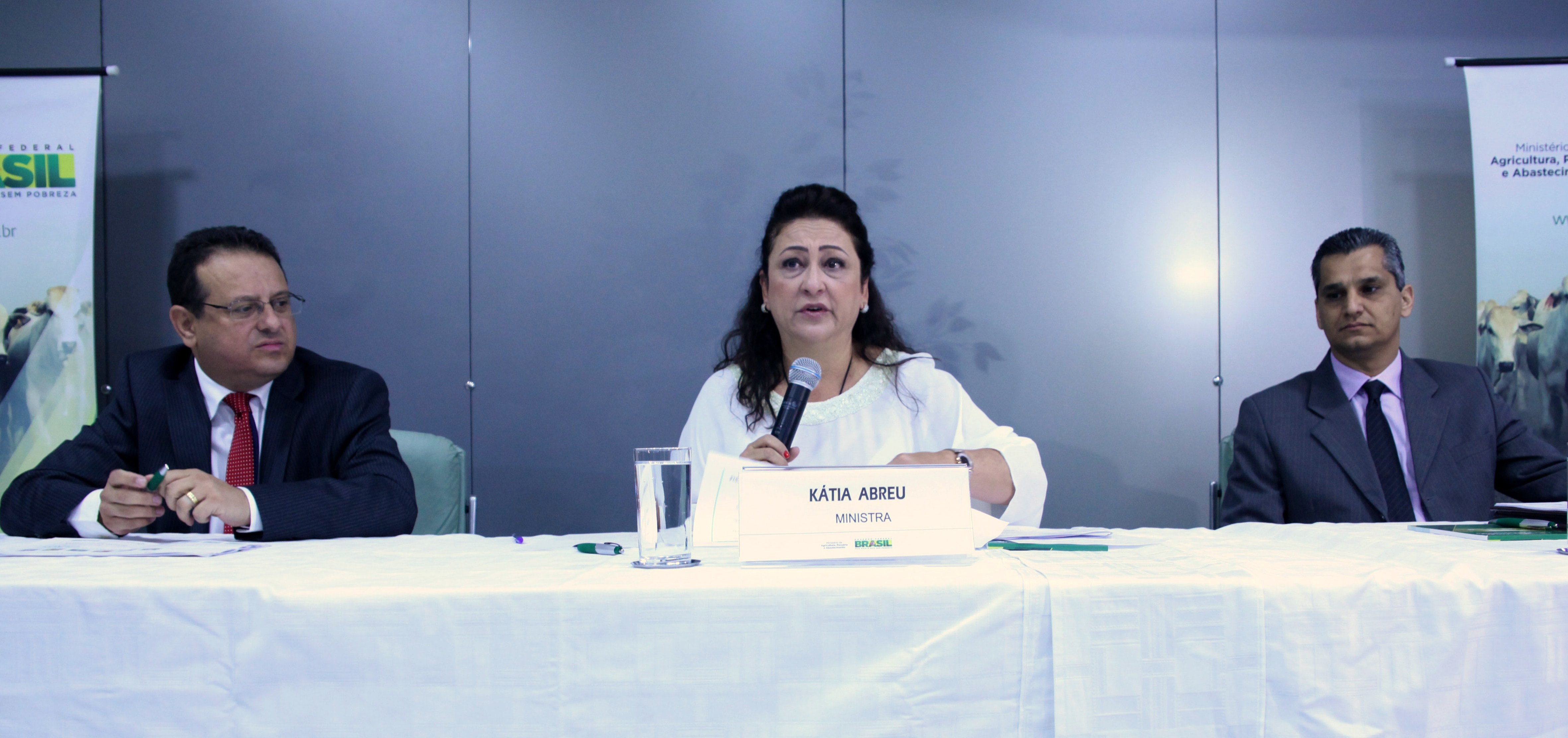 Kátia Abreu diz que anúncio de safra traz boas notícias para o agronegócio