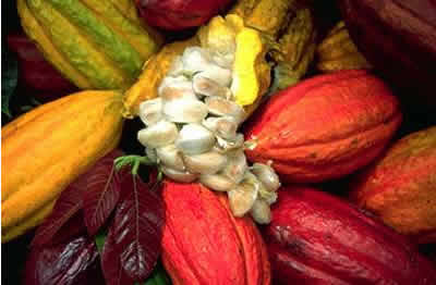 Ceplac e Prefeitura Municipal de Ipiaú promovem o 2º Encontro dos Produtores de Frutas