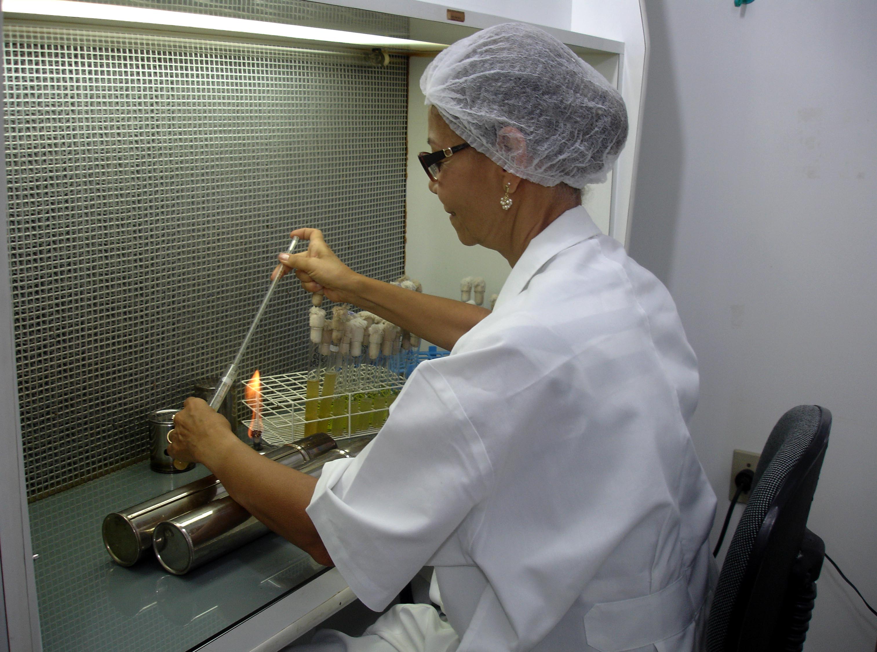 A TFFA Silvéria em suas atividades de laboratório relacionadas à microbiologia, Ceplac/Seção de Tecnologia.