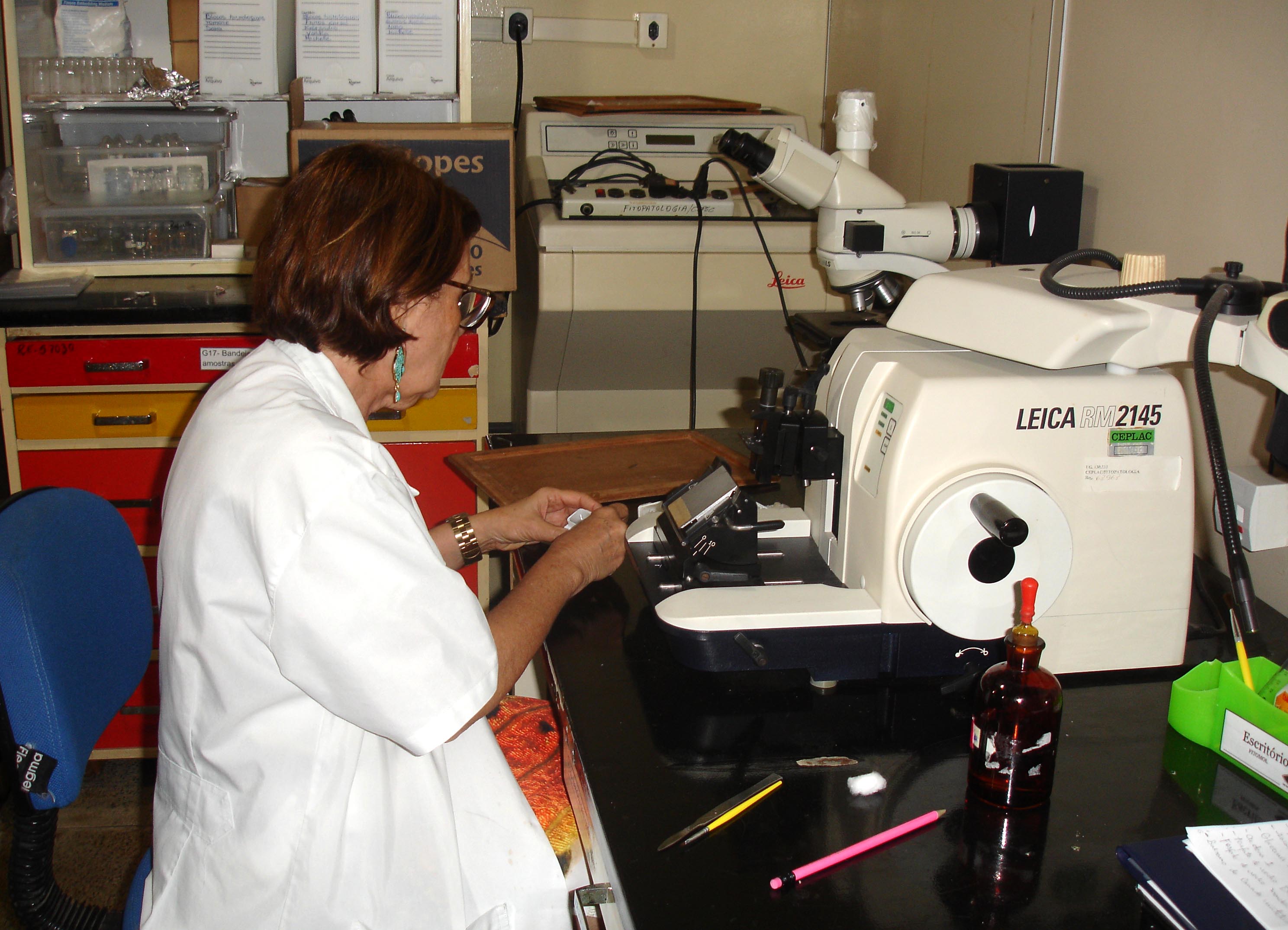 A TFFA Silvia em suas atividades de laboratório na Ceplac/Seção de Fitossanidade/Biomol.