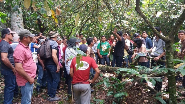 TFFA ministra curso sobre “Controle da Vassoura-de-bruxa” em festival internacional